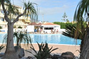 una piscina con palmeras y gente de fondo en Marina Palace Paraiso, en Playa Paraiso