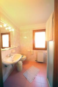 a bathroom with a sink and a toilet at Active Hotel Gran Zebru' in Cogolo