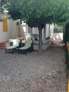 リウマルにあるChalet turistico Riumarの木の下に椅子2脚とテーブルが備わるパティオ