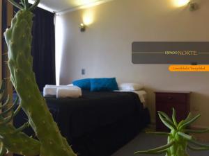 1 dormitorio con cama y cactus en Espacio Norte - Iquique Cavancha en Iquique