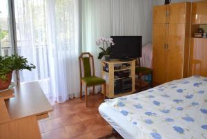 a bedroom with a bed and a tv and a table at Benedekné Háza in Gyenesdiás