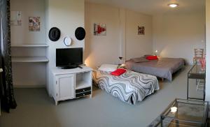 a room with two beds and a flat screen tv at Le Grand Val in Lavastrie +45 photos
