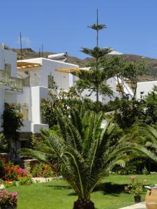 un palmier devant un bâtiment dans l'établissement Vidalis Hotel, à Kionia