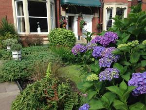 Rostrevor Hotel - Guest House في بيوري: حديقة بها زهور أرجوانية أمام المنزل