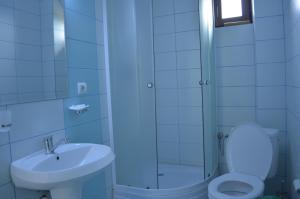 a bathroom with a shower and a toilet and a sink at Perla Munților in Ranca +31 photos