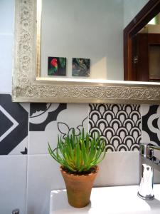 a potted plant sitting on a sink in a bathroom at Le Volute al Pigneto in Rome