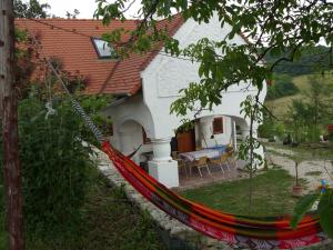 una casa con una hamaca roja delante de ella en Tik hegyi ház en Monoszló