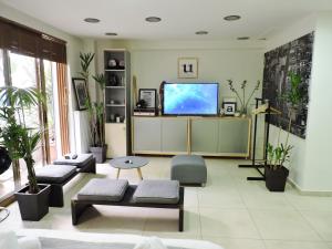 salon z telewizorem i roślinami w obiekcie Luxurious Loft with Garden w Atenach