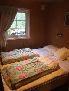 2 camas individuales en un dormitorio con ventana en Briksdalsbre Fjellstove en Briksdalsbre