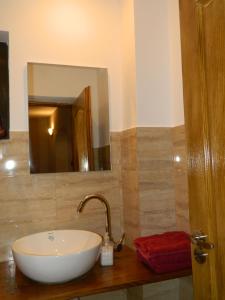 a bathroom with a sink and a mirror at Cabana Florea in Râu de Mori