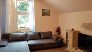 a living room with a brown couch and a window at Pension-Puttlachtal in Pottenstein