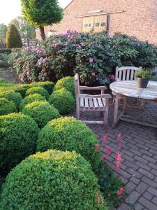 Zahrada ubytování B&B Bergenhof