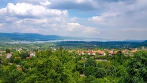 Příroda nedaleko apartmánu