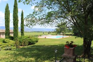 The swimming pool at or close to Fattoria Borgonuovo