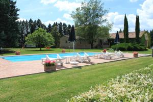 The swimming pool at or close to Fattoria Borgonuovo