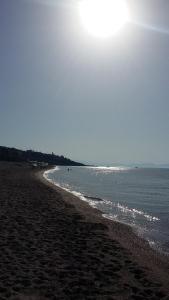 Playa de o cerca de este apartamento