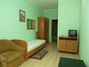 ヴィチャゼヴォにあるGuest house on Pochtovaja 48bのリビングルーム(ソファ、テレビ付)