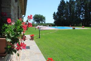 The swimming pool at or close to Fattoria Borgonuovo