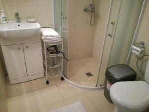 a bathroom with a shower and a toilet and a sink at Agava in Palanga