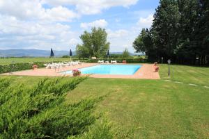 The swimming pool at or close to Fattoria Borgonuovo
