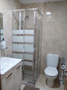 y baño con ducha, aseo y lavamanos. en Apartamento Campillín, en Oviedo