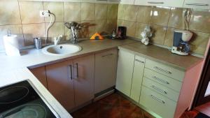 eine kleine Küche mit Spüle und Waschmaschine in der Unterkunft Di-Ana in Sibiu
