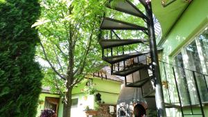 a spiral staircase on the side of a building with a tree at Di-Ana in Sibiu