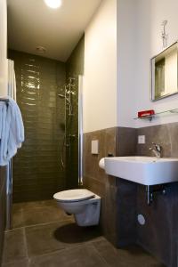 a bathroom with a toilet and a sink and a shower at Guesthouse Vertoef in Nijmegen
