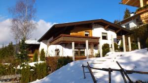 Afbeelding uit fotogalerij van Haus Alex in Achenkirch