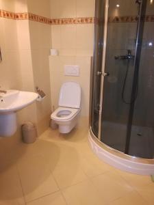 W łazience znajduje się toaleta, prysznic i umywalka. w obiekcie Apartament Masajka we Władysławowie