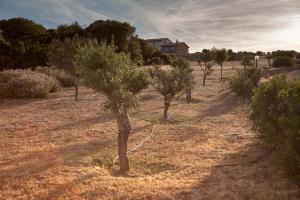 Paesaggio naturale nelle vicinanze dell'agriturismo