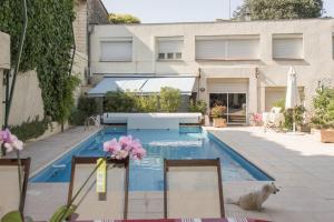 a swimming pool with a dog in front of a building at Villa Cemaste in Montpellier