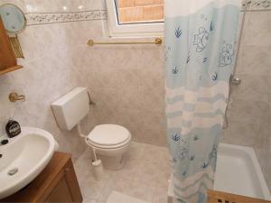 a bathroom with a toilet and a shower curtain at Apartment Skiper in Veli Lošinj