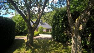 Zahrada ubytování B&B Le Nid Doux (Vresse-Sur-Semois/Chairière)