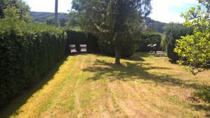 Příroda nedaleko bed and breakfast