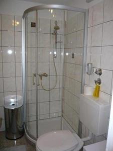 uma casa de banho com um chuveiro e um WC. em Falkenberg-Wohnung-201 em Oberstdorf