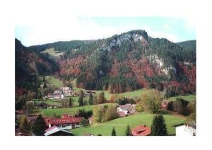 eine kleine Stadt vor einem Berg in der Unterkunft Falkenhorst Wohnung 19 in Oberstdorf