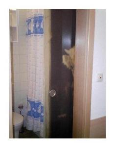 Ένα μπάνιο στο Falkenhorst-Wohnung-41