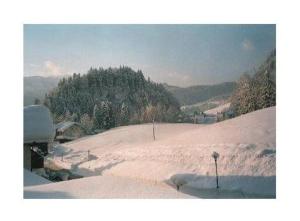 a snow covered hill with trees in the distance at Sport-Alpin-Wohnung-9 in Oberstdorf
