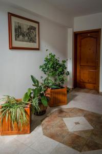 Fotografie z fotogalerie ubytování Kalypso Hotel v Primorsku