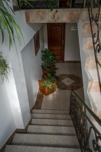 Fotografie z fotogalerie ubytování Kalypso Hotel v Primorsku