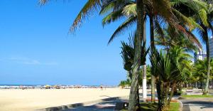 a beach with palm trees and a crowd of people at Casa Lado Praia Bom Espaco in Praia Grande