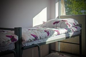 Łóżko lub łóżka piętrowe w pokoju w obiekcie Noclegi Sejnenska