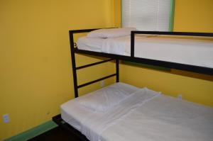 two bunk beds in a room with a yellow wall at India House Hostel in New Orleans