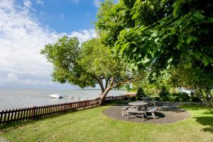 a picnic table and a tree next to the water at Preilos vasara in Preila