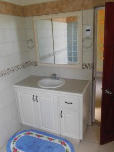 a bathroom with a sink and a mirror and a rug at BenCastle Villa in Gros Islet