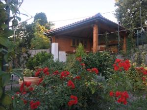 dom z czerwonymi kwiatami przed nim w obiekcie Apartment Katarina w mieście Rijeka