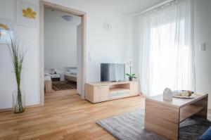 TV i/ili multimedijalni sistem u objektu BB-Apartment