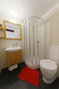 a bathroom with a shower and a toilet and a sink at Antiga Casa da Burra in Viseu