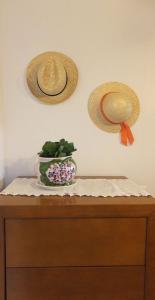 Gallery image of Grande Tranquilidade in Prainha de Baixo +15 photos